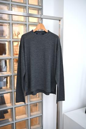 SOFIE D'HOORE pullover c-neck long sleeves(GRAY)