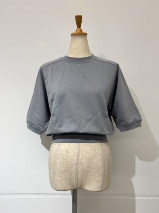 AURALEE ELASTIC HIGH GAUGE SWEAT H/S P/O(ASH GRAY)